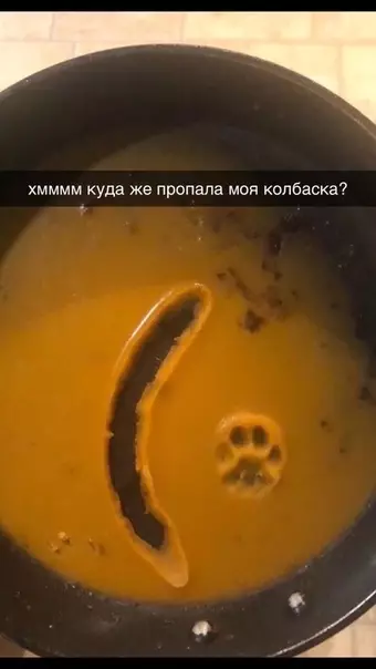 Смешная картинка №470361 Шерлок, где ты?