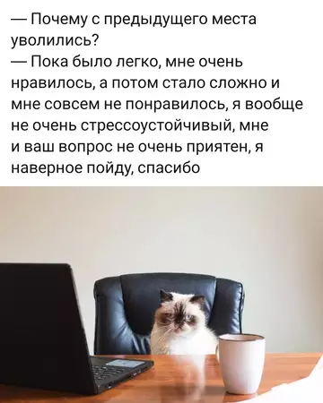 Смешная картинка №747752 собеседования