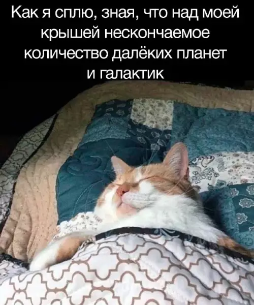 Смешная картинка №703817
