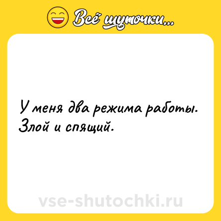 Шутка: У меня два режима работы. Злой и спящий.