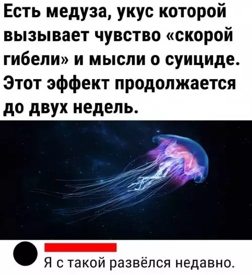 Смешная картинка №723903