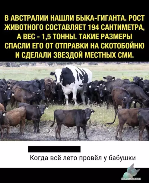 Смешная картинка №345321