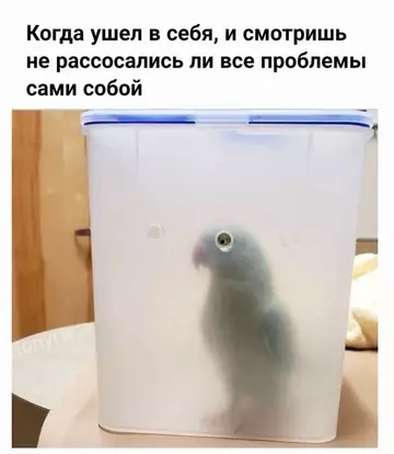 Смешная картинка №751018