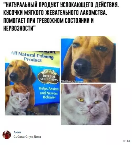 Смешная картинка №300912