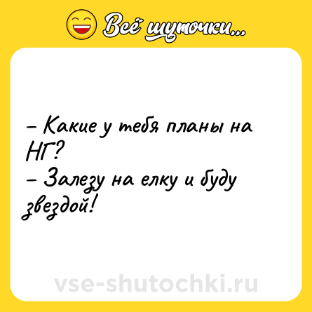 Шутка: – Какие у тебя планы на НГ? <br>– Залезу на елку и буду звездой!