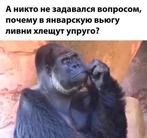 Смешная картинка №743758