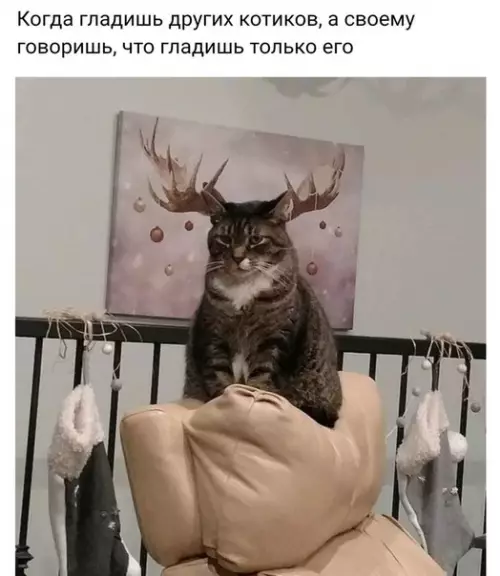 Смешная картинка №239158
