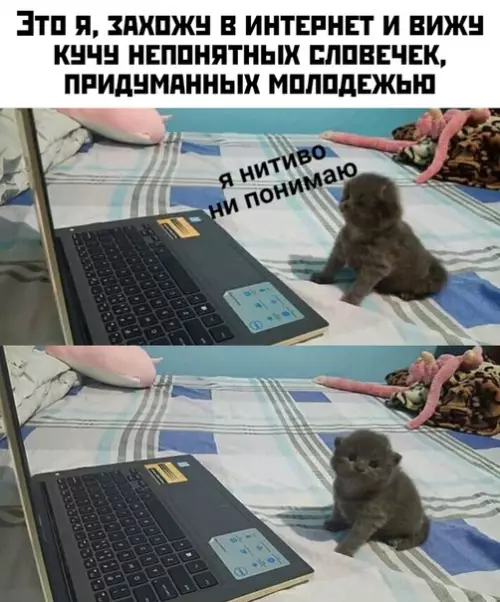 Смешная картинка №426770