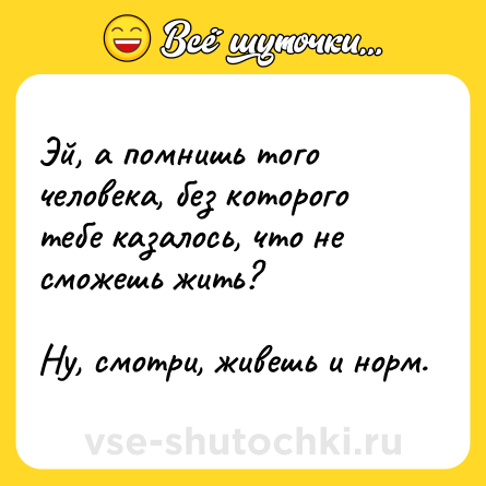 Шутка: Эй, а помнишь того человека, без которого тебе казалось, что не сможешь жить?<br><br>Ну, смотри, живешь и норм.