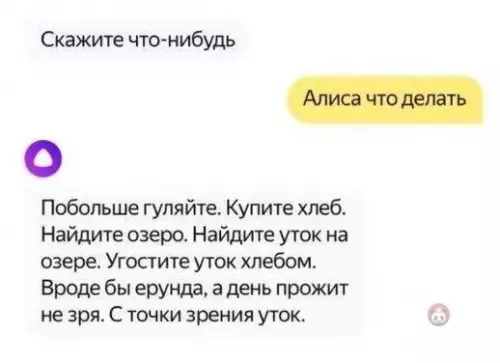 Смешная картинка №478857 Алиса тот еще тролль