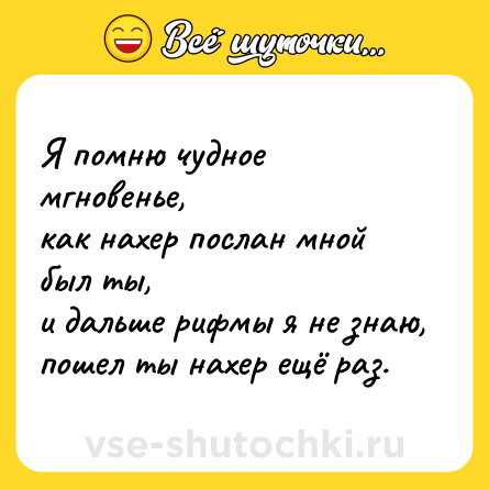 Шутка: Я помню чудное мгновенье, <br>как нахер послан мной был ты, <br>и дальше рифмы я не знаю, <br>пошел ты нахер ещё раз.