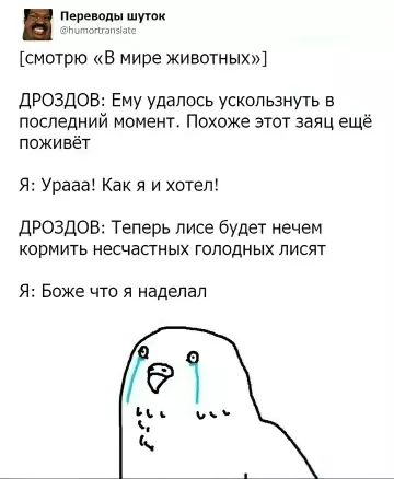 Смешная картинка №803914 Животные