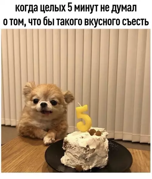Смешная картинка №609061 Peкopд