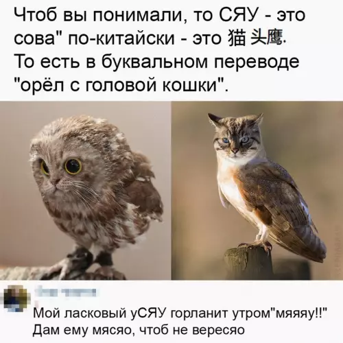 Смешная картинка №665558