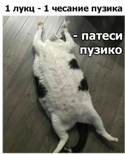 Смешная картинка №216424