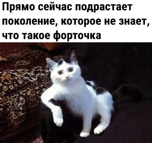 Потерянное поколение и форточка 🙀 - Прямо сейчас подрастает поколение, которое не знает, что такое форточка