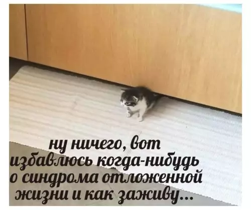 Смешная картинка №798658