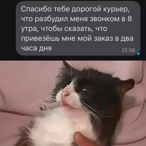 Смешная картинка №672584