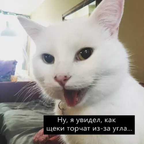 продолжение Смешная картинка №762911