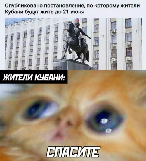 Смешная картинка №499179