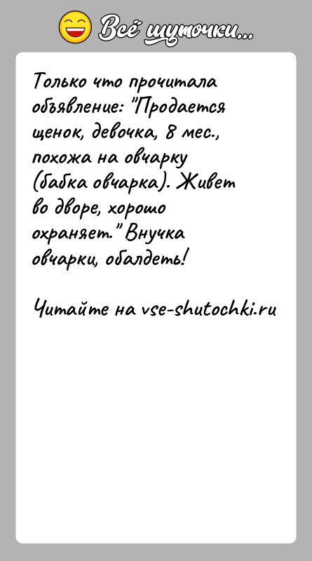 История: Только что прочитала объявление: Продается щенок, девочка, 8 мес.,похожа на овчарку (бабка овчарка). Живет во дворе, хорошоохраняет. Внучка овчарки, обалдеть!