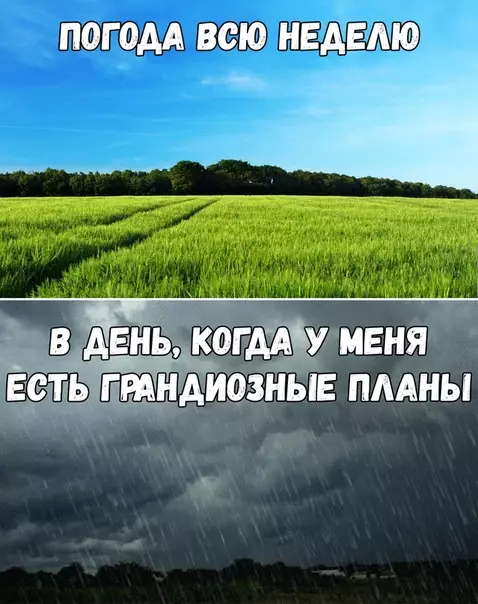 Смешная картинка №386518 Очень жизненный мем