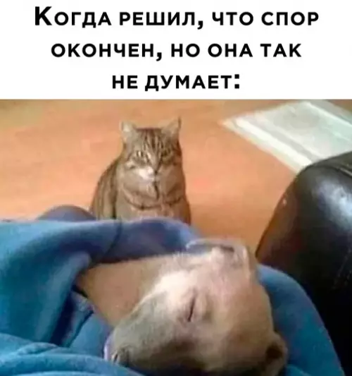 Смешная картинка №680084