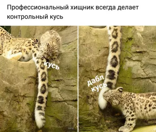 Смешная картинка №222410