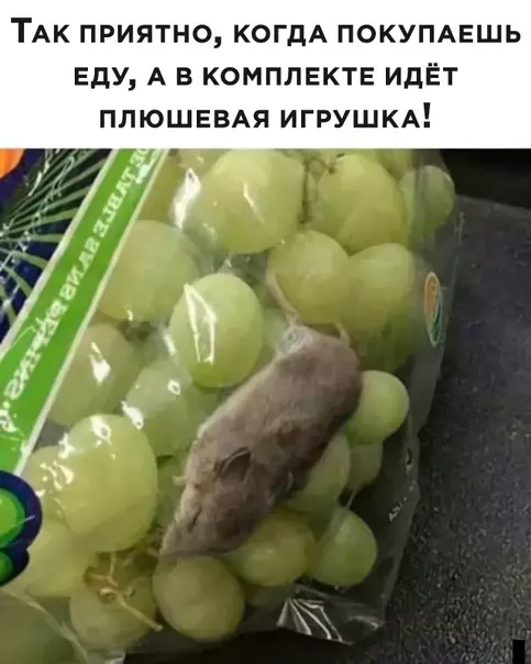 Смешная картинка №538515