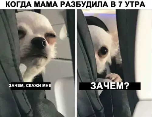 Смешная картинка №285130