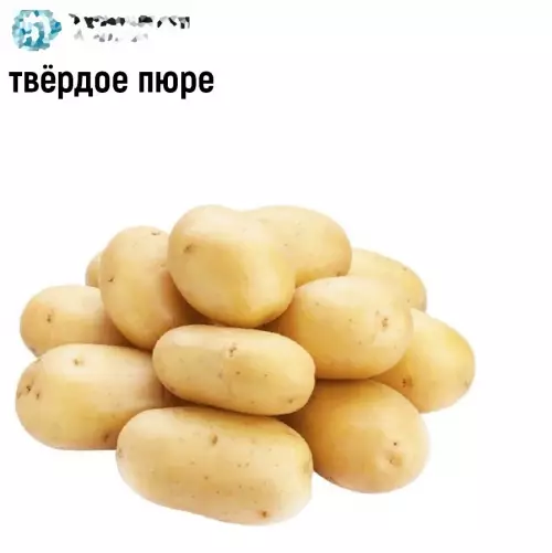 продолжение Смешная картинка №693724 Лox нe мaмoнт