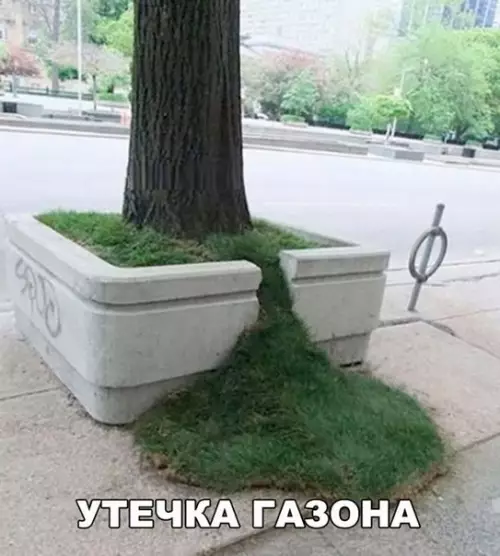 Смешная картинка №213081