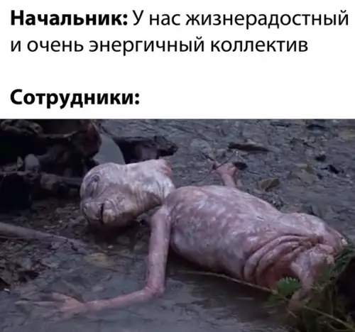 Смешная картинка №516539