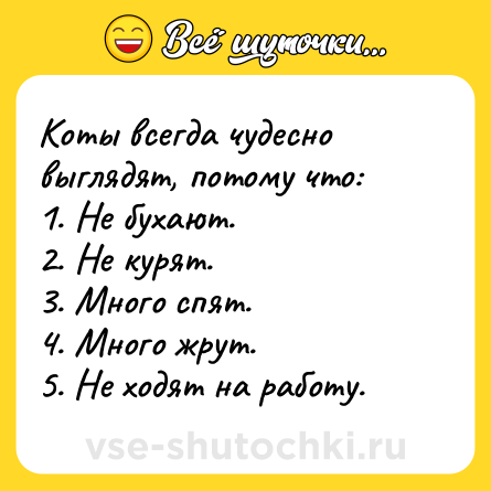Шутка: Коты всегда чудесно выглядят, потому что:<br>1. Не бухают.<br>2. Не курят.<br>3. Много спят.<br>4. Много жрут.<br>5. Не ходят на работу.