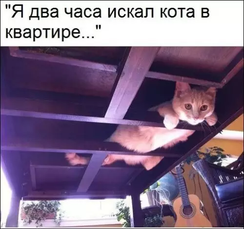 Смешная картинка №314950 Ниндзя?