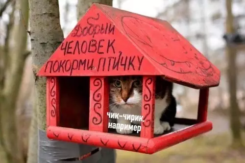 Смешная картинка №465853