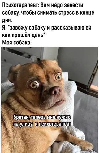 Смешная картинка №685154
