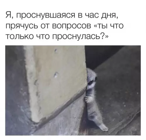 Смешная картинка №487117 Почему такая жиза жизненная ?
