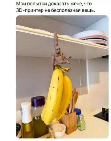 Зачем нужен 3D-принтер? Ответ на фото! 🍌 - Мои попытки доказать жене, что 3D-принтер не бесполезная вещь.