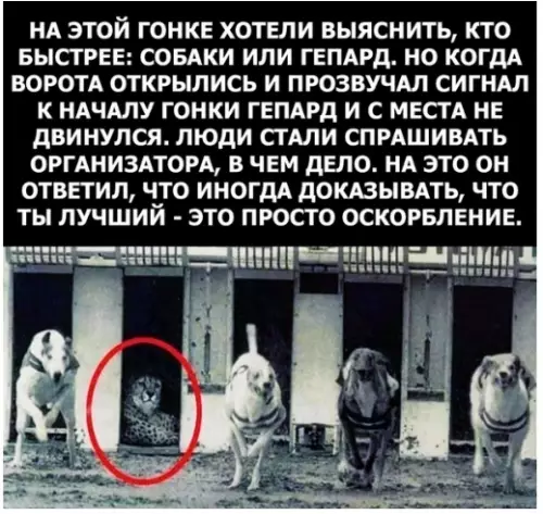 Смешная картинка №283404