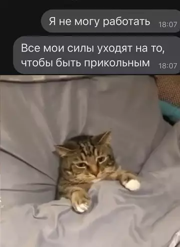 Смешная картинка №748741 До слез