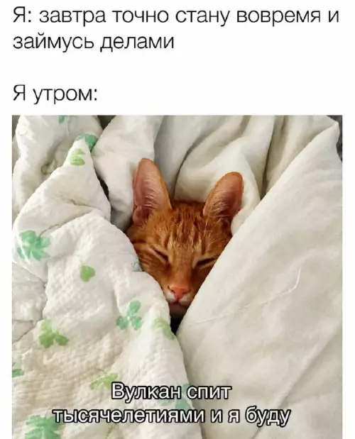 Смешная картинка №822660 Сон