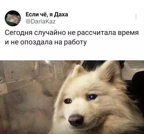 Смешная картинка №683653
