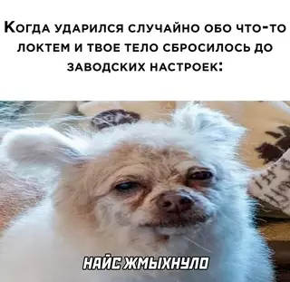 Смешная картинка №630711
