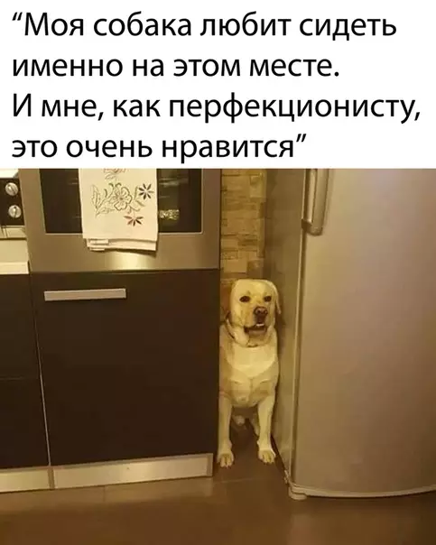 Смешная картинка №492040