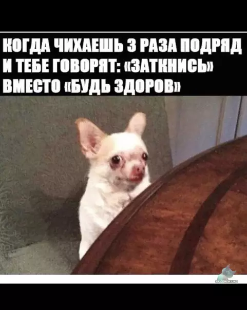 Смешная картинка №336738