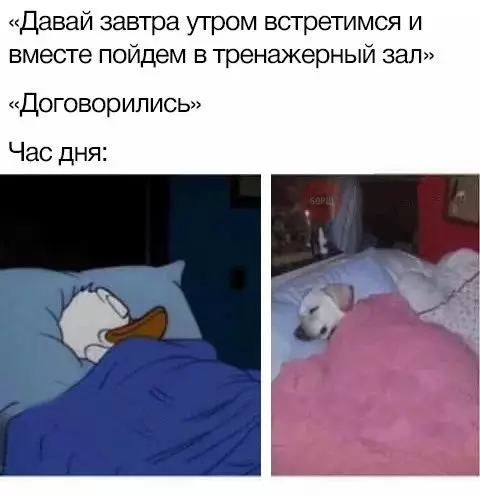 Смешная картинка №260101
