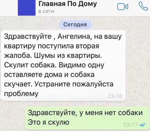 Смешная картинка №445087 Все мы иногда Ангелина