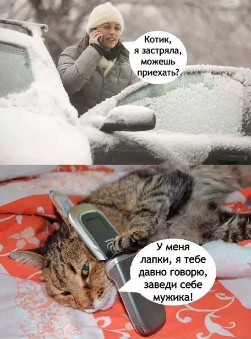 Смешная картинка №706371