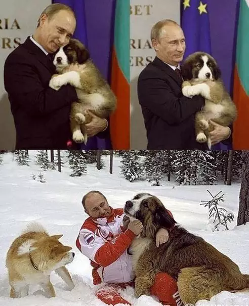 Смешная картинка №232793 Тот самый пес